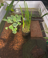 ��һ���������ҳԹ���óԵ�������