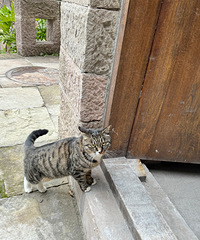 ż��һֻ���������۵�����Ͳ�м�������ҷ�����