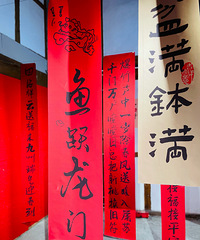 ´citywalkǿƼºϽ֣ζѽ