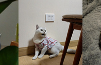 9���С���䣬˯������Ҫ˯�����ϣ���Ȼ�ͽв�ͣ