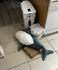 è����Ҫ��������ÿ���ְ������ϵ��ſ�