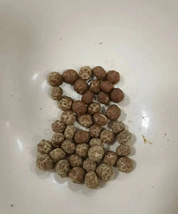 ��ҹè��������ô�����ģ��е��˼�����è��