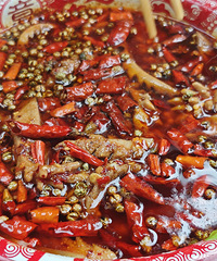 ��̽Ѽ���ӣ�����˶�Ͷೢ�˼����ˣ�ϲ��ˮ��ţ��