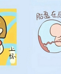 �ϻ�vs�»���ǰ��vs��ڵ�������ɶ�����ղأ�