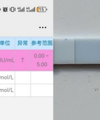 ���������޳��������ҵı��������ڵȵ�������