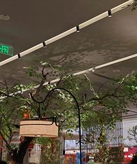 �����һ�Ը��̲裬�ԳԼ������Ʋ˶�û��ʧ��