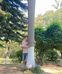 86176CMȾƲ̵ĸ飬ҵ繤