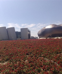 85177CM20ĸ飬ϣԷ36