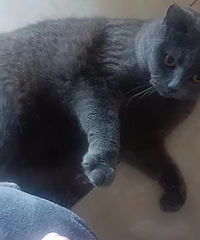 91172CM20ĳԱ飬ϣѧм