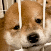 ������ֵ��������������19����0����Ҭ֭10ƿ19