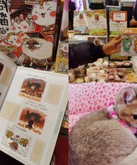 �޳�����һ���飬�������߲���·