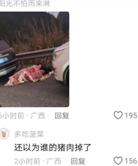 ���ٶ³����ˣ�������ȴ���ֶ࣬�ᱼ��Ц��