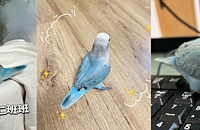 ��˾����һֻС��ͬ�£����߼ල������͵͵ק�˯