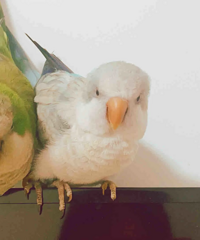 �����ʼ���������ˣ�����ΪС�����������