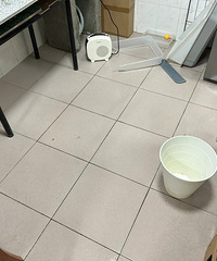 [����]�����ˣ����ǵ�è�����ڼ�������3ֻè�ڼң������ˣ�