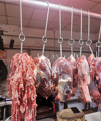 �ϼ�ȥ�ˣ�ƽʱ���٣�������Ȼ�����̻���