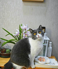 è�е��������գ�5�������ѵ�û�з��������ͷ