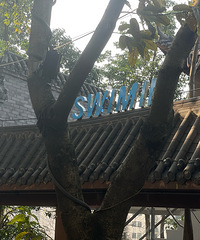 Ӧ���Ǵ����ڼ���������һ�ҿ��ȹ��˰�