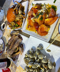 ��ȥ�Ҵҵ��Ǿ�ɫ��ʢ�����ݷ��Ǹ۱����μ�