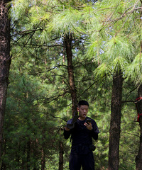 94175CMصλС飬ϣԷ