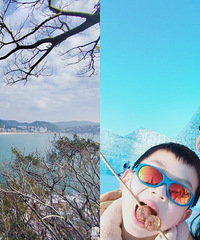 来用三张图总结一下这个春节吧