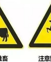 ����͵���ϸ��٣��񾯻����������ġ���ʱ����
