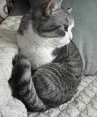 ����������Ư���Ļ�����������èè�ʺ�����