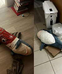 èÿ�춼�������ϵ��ſڣ�������