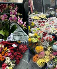 �������ʺ��򻨵ļ���