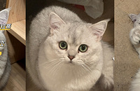 ���ǿ��������ǲ��ǿ����вƣ��о�������Ҫ������