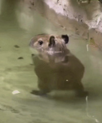 ������ֵ���򡿵�����ǻ����ˮ90֧35�������������˪158