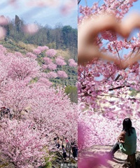 �򿨽���ӣ��԰����ɽ��Ұӣ��̫����