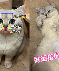 ���ǿ��������ǲ��ǿ����в�