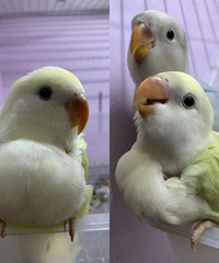 �Ҽ���ɶ����һ��Ŀ�꣺������ֻ����