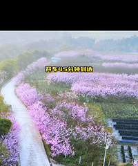 ӣ�������ˣ�87��ͷ�Ҹ�88-93�������һ��ӣ������Ұ��