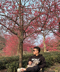 94171CMҵС飬ϣԷ92~96