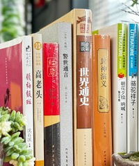适合小学高年级娃的书单