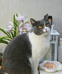 5�����ͣ��ѵ�û�з��������ͷ