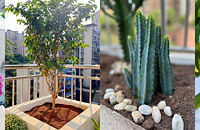 �ҵ�¶̨С��԰���л����߲�ˮ��һ���ļ���������