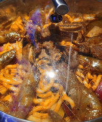 ����˹�ζ�����������Ȼ�ʲô�ʺóԶ࿩���ؼ�������