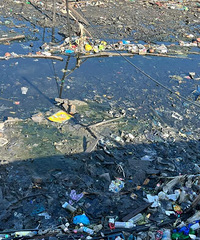 ������ȥ�ɱ��ǣ������������ȥ�ˣ�����ô������