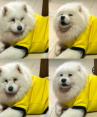 90178CMڵĸ飬ϣԷ155