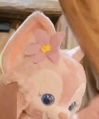 ������ֵ����Revia����10Ƭ19������жױ��2ƿ56