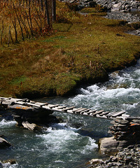 90갮õ㡢Լݺ¶Ӫĸ飬ϣԷ87~95