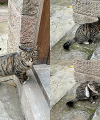 ·��è�����������۵�����Ͳ�м