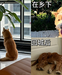 ���Ӵ�ũ��سǺ󣬾������Ĳ�����