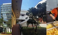 深圳行,看我的梦中情校,环境好得让人羡慕