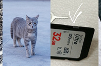 èצ����ô������һ�����о�׼ץ�������sd��