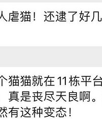 细思极恐,我们小区居然有人虐猫!