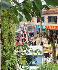 369���Ƽ����ϳ���������׷�䡰��������������